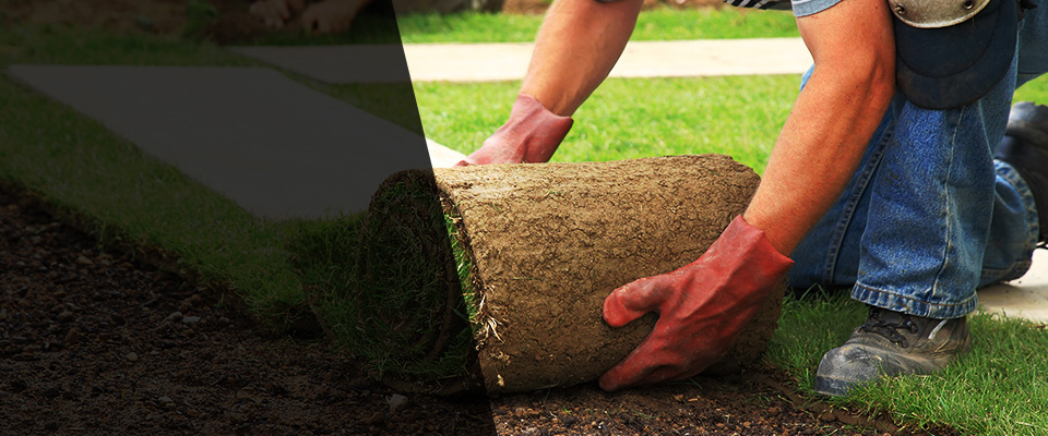 Shreveport Landscapers